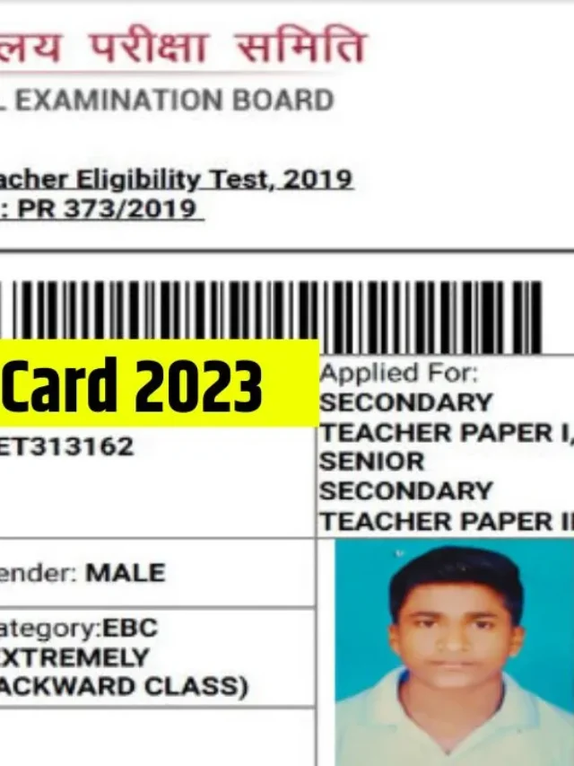 Bihar STET Admit Card 2024